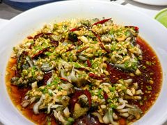 -开海·红岛海鲜虾水饺(石老人店)