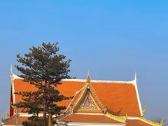 -隋唐洛阳城明堂天堂景区