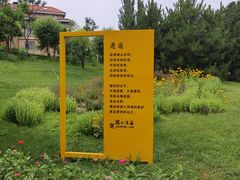 -观澜小洱海