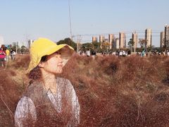 -映月湖中央公园
