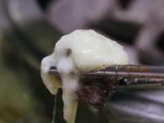 烤调味牛王排-紫霞门韩国料理烤肉(深南东路店)