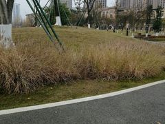 -府河摄影公园