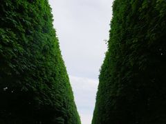-埃菲尔铁塔