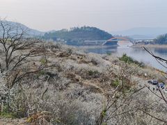 -广州市流溪河国家森林公园