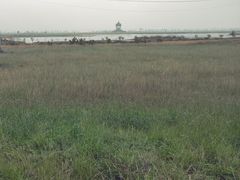 -哈素海