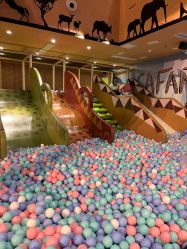 -卡通尼·Safari非洲探索乐园·生日会(金桥国际商业广场店)