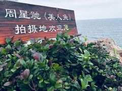 -杨梅坑