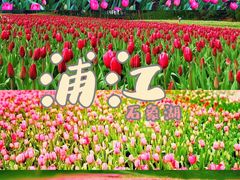 -保利石象湖景区