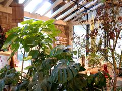 -GOTLOT COFFEE&KITCHEN角落厨房NOOK店