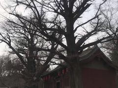-晋祠公园