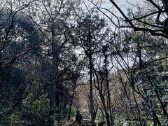 -缥缈峰景区
