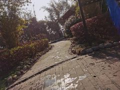 -山湖温泉