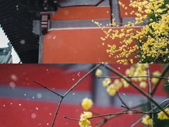 -钱王祠