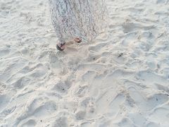 -白沙滩
