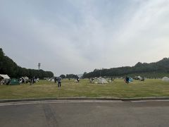 -羊山湖公园