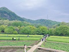 -八卦田遗址公园