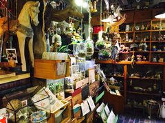 -懒鱼时光馆(沙坪坝店)