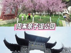 -堤角公园