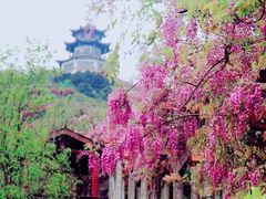 -缥缈峰景区