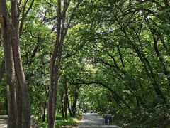 -沈阳市东陵公园