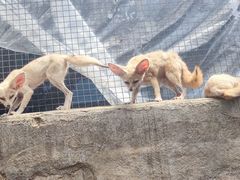 -广州长隆飞鸟乐园