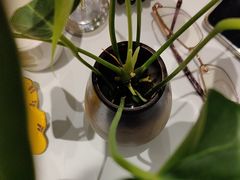 -眉州东坡(清河万象汇店)