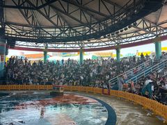 -海合安武汉极地海洋公园