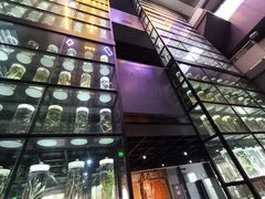 -广东中医药博物馆