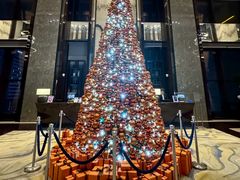 -环球港凯悦 · 享悦中餐厅