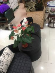 -唐荣护肤造型