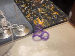 -芸山季·云南山珍菌火锅(南翔印象城MEGA店)