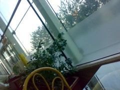 窗边-绿色时代大酒店