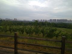 -汉长安城未央宫国家考古遗址公园