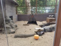 -深圳野生动物园