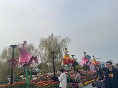 -荷兰花海