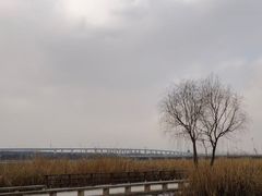 -绿堤公园