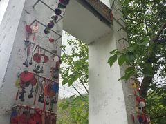-西双版纳原始森林公园