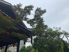 -知亘茶食