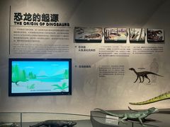 -自贡恐龙博物馆