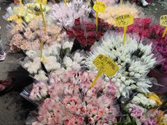 -循礼门鲜花花市(武汉循礼门店)