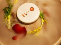 -一斗火锅·招财羊毛肚(北温泉九号店)