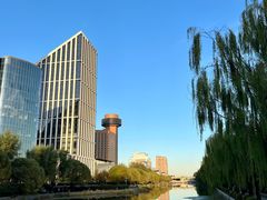 -三里屯东五街银杏大道