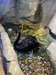 -酷嗒动物文化乐园(cutezoo西溪乐天城店)