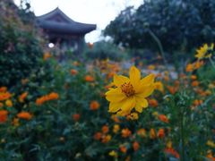 -元大都城垣遗址公园