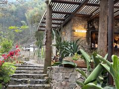 -MOJ coffee(瓯海泽雅水碓坑店)