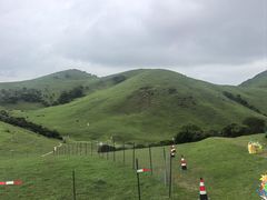 -大姆山草场