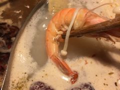 鸳鸯锅底-傣妹火锅(荔湾广场店)