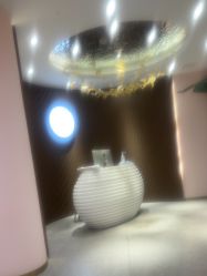 -MUSES专业脱毛比基尼サロン日式连锁