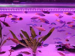 -三旗百汇商品城