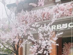 -星巴克臻选(思南公馆店)